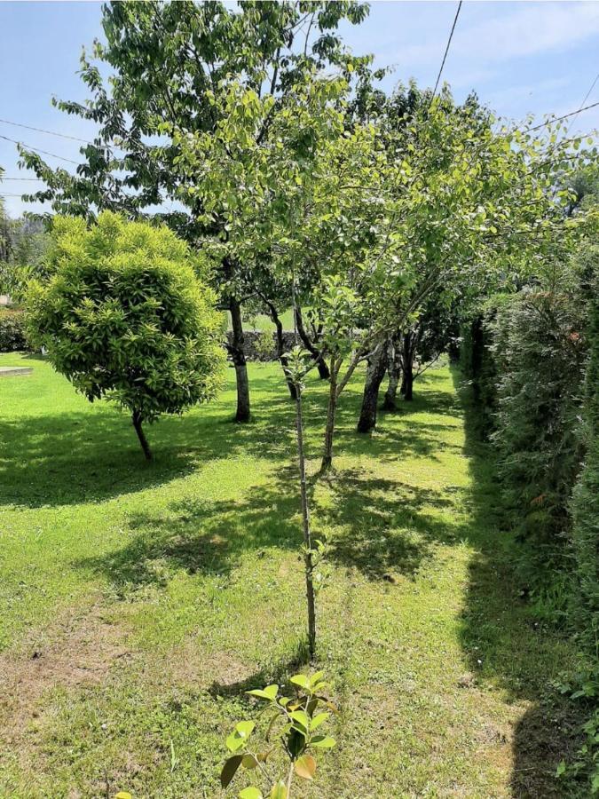 La Pescal Villa Arriondas Dış mekan fotoğraf